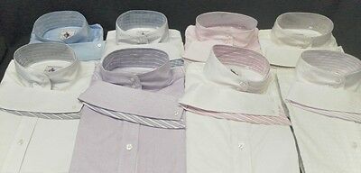 Show Shirts By Allon Equestrian With Ratcatcher Attachment Collar